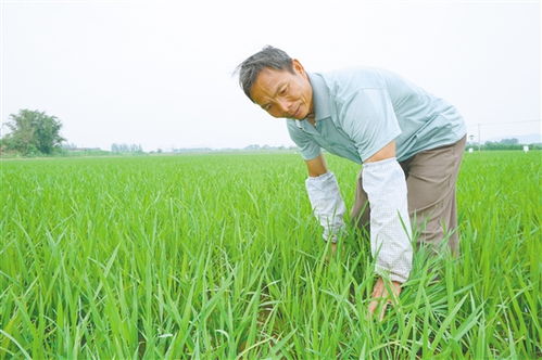 兰州梅菲特贸易有限公司